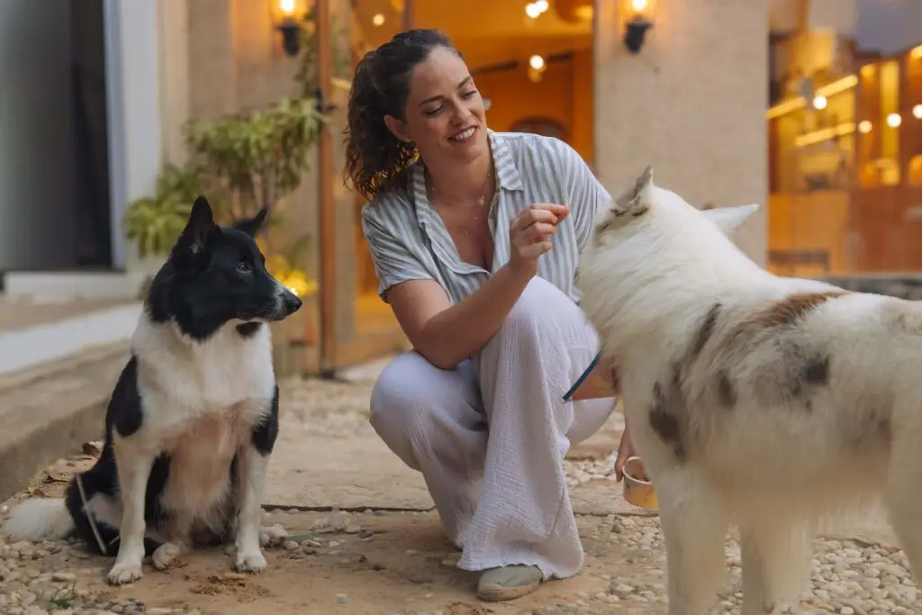 Sophie, éducatrice canine comportementaliste à Thionville, avec deux chiens lors d'une séance d'éducation