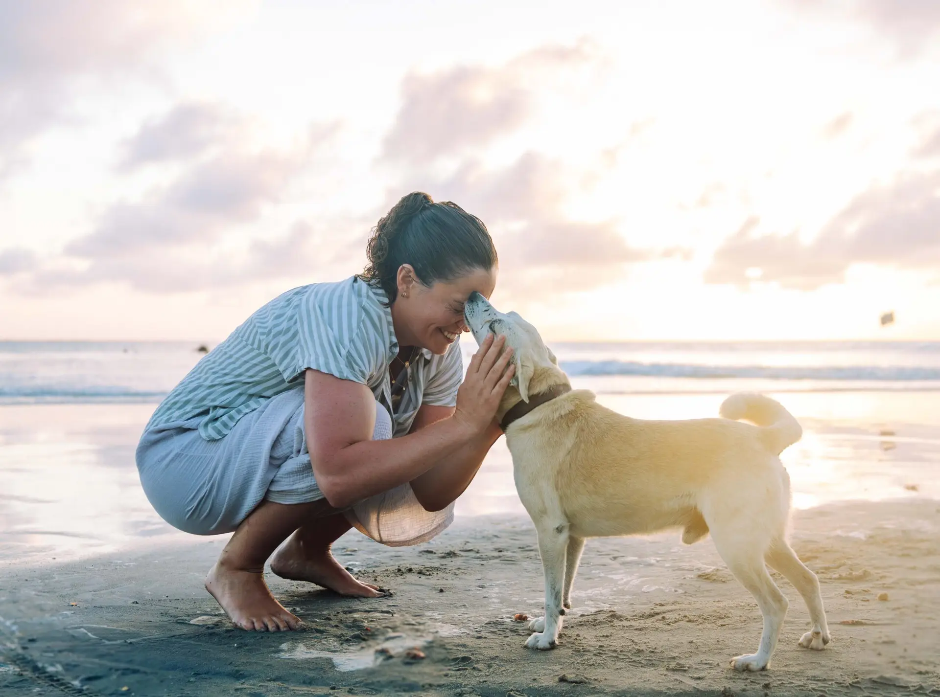 Femme et son chien labrador sur la plage au coucher du soleil, illustrant une séance de questions éducation canine à Thionville avec Édu'Cœur Canin
