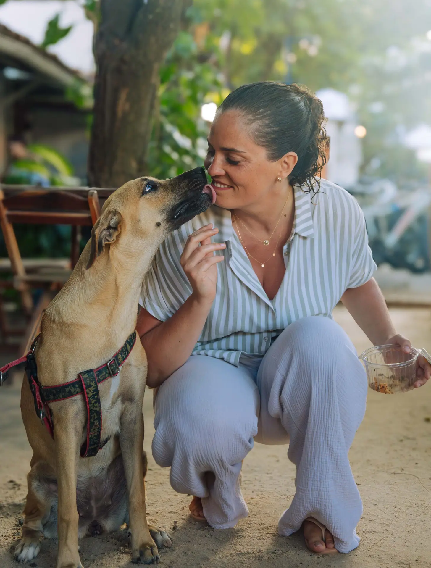 Séance individuelle d'éducation canine avec Sophie Sturer et un client