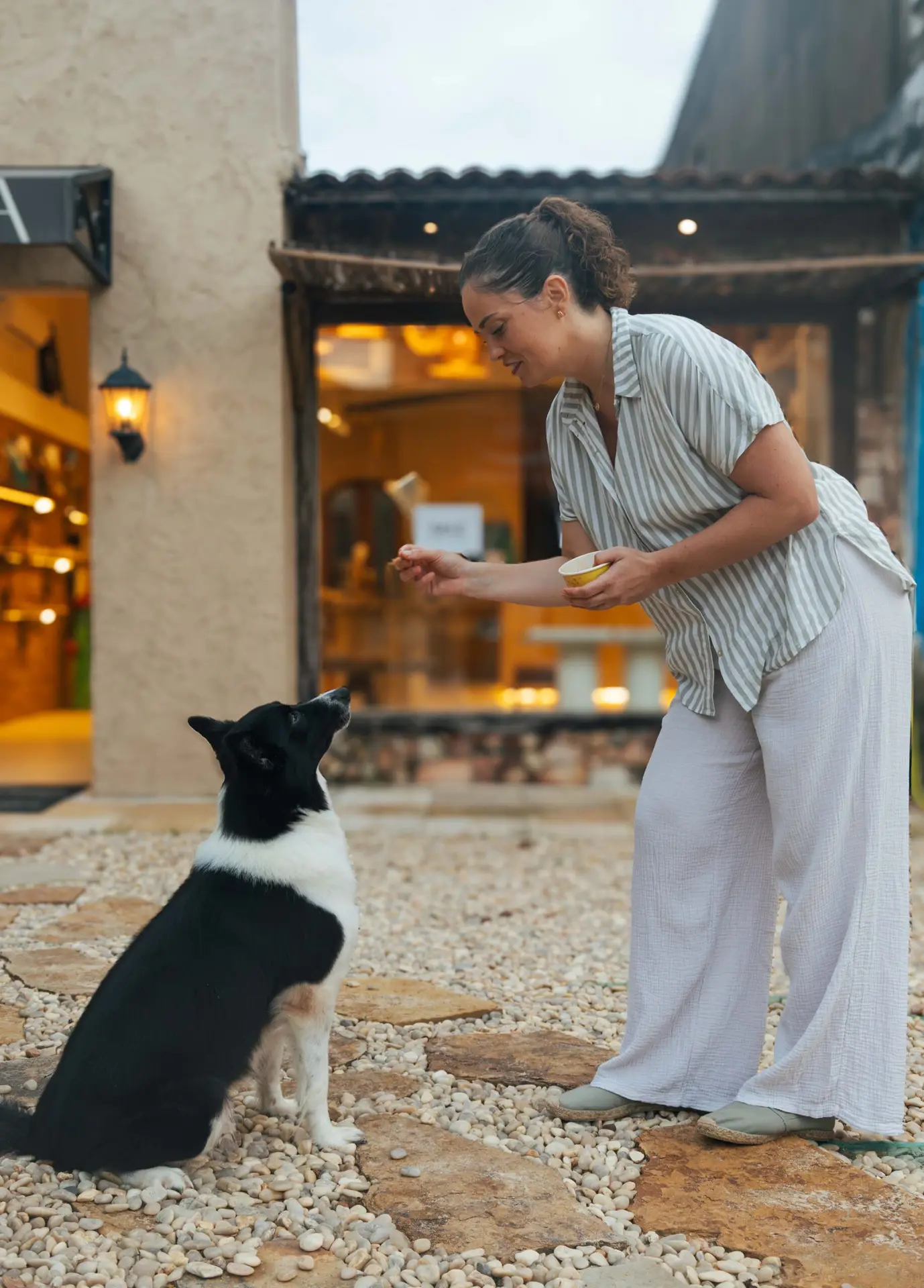 Accompagnement comportementaliste canin en session personnalisée