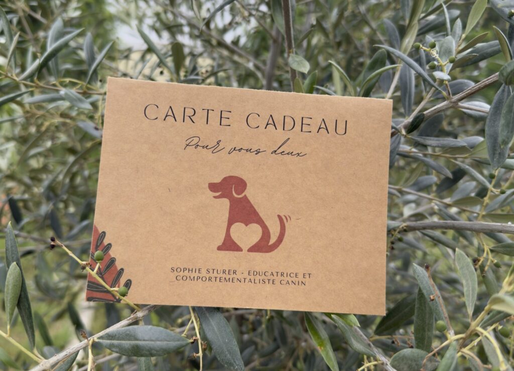 Carte cadeau Édu'Cœur Canin - Offrir un accompagnement éducatif canin